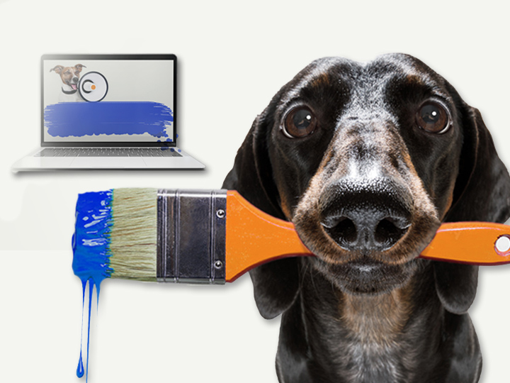 Website-Relaunch 2 Hund mit Pinsel vor dem Laptop als Symbol für die Neugestaltung einer Website